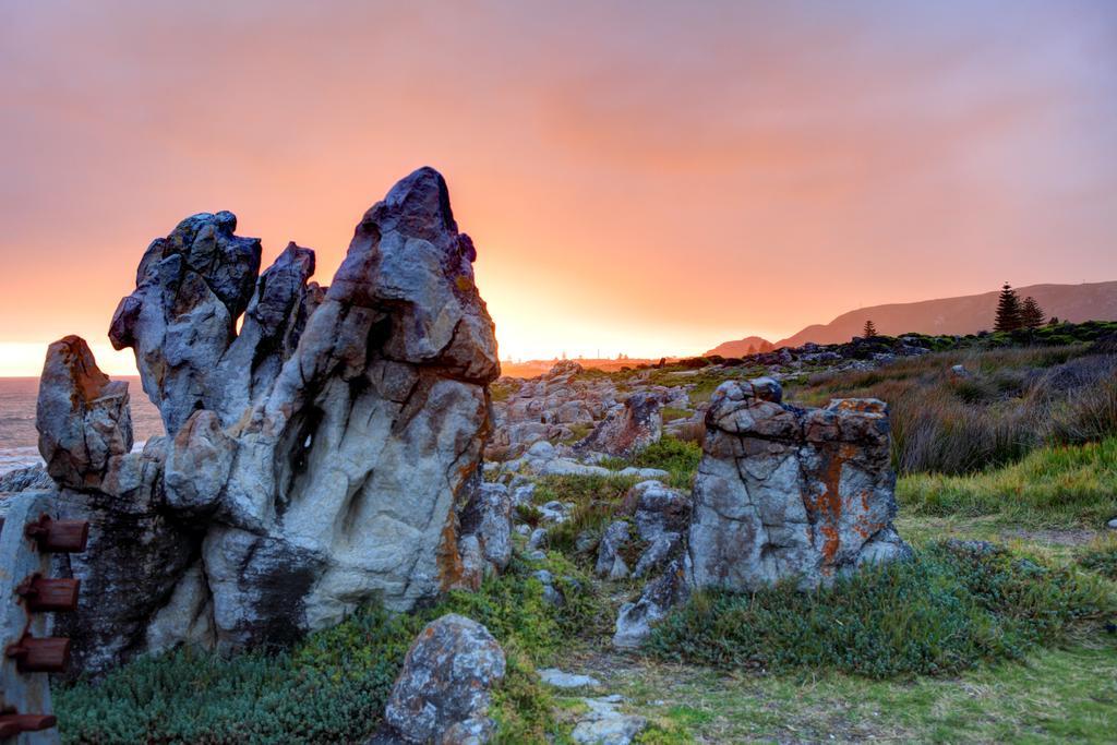 Abalone Guest Lodge Hermanus Zewnętrze zdjęcie