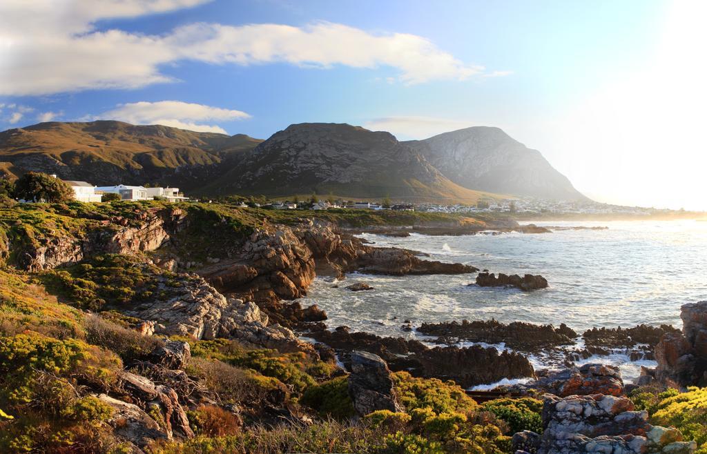 Abalone Guest Lodge Hermanus Zewnętrze zdjęcie